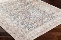 Surya Amelie Aml-2387 Black, Blush, Medium Brown, Dark Brown, Cream, Beige Area Rug