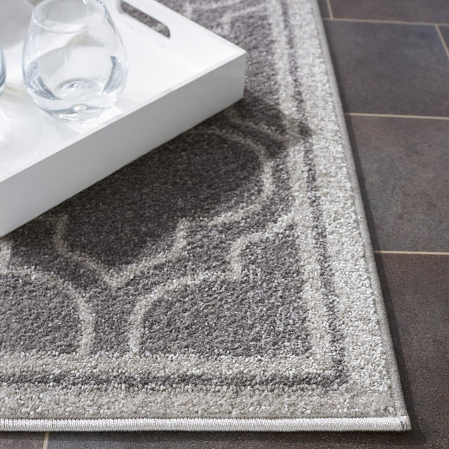 Safavieh Amherst Amt412C Grey / Light Grey Rugs