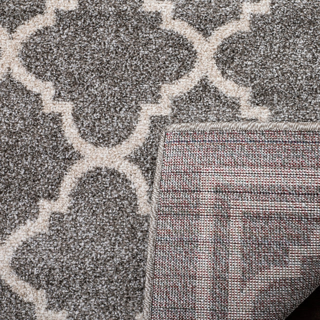Safavieh Amherst Amt422R Dark Grey / Beige Rugs