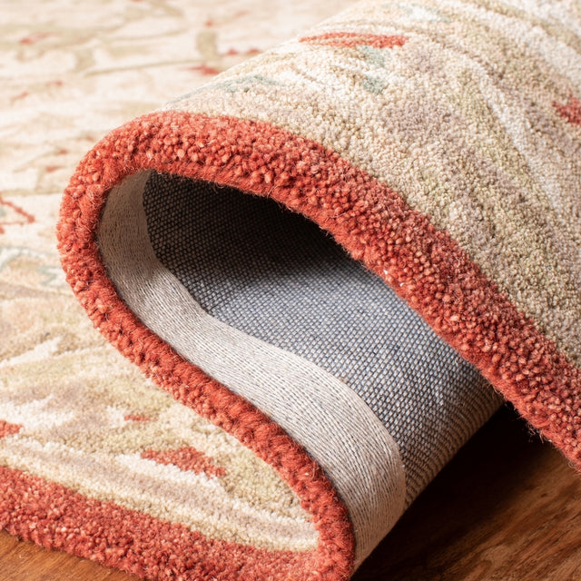 Safavieh Anatolia An512E Ivory / Rust Rugs