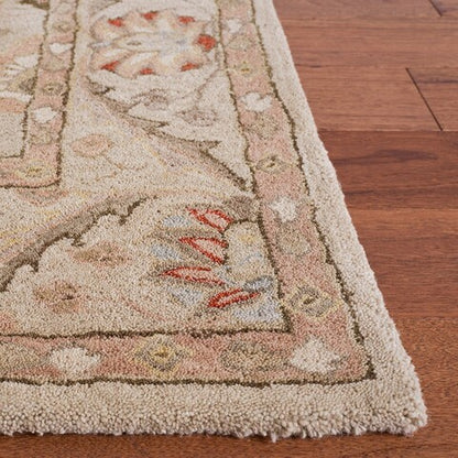 Safavieh Anatolia An570A Beige / Beige Rugs