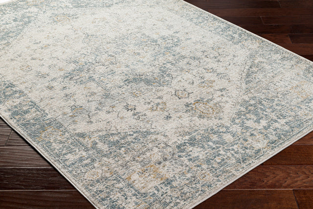 Surya Alpharetta Aph-2300 Cream, Light Beige, Medium Gray, Blue, Charcoal, Amber Rug.