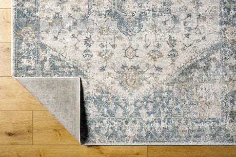 Surya Alpharetta Aph-2300 Cream, Light Beige, Medium Gray, Blue, Charcoal, Amber Rug.