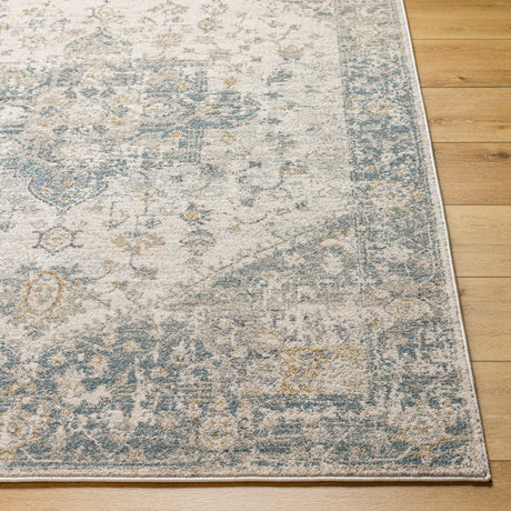 Surya Alpharetta Aph-2300 Cream, Light Beige, Medium Gray, Blue, Charcoal, Amber Rug.