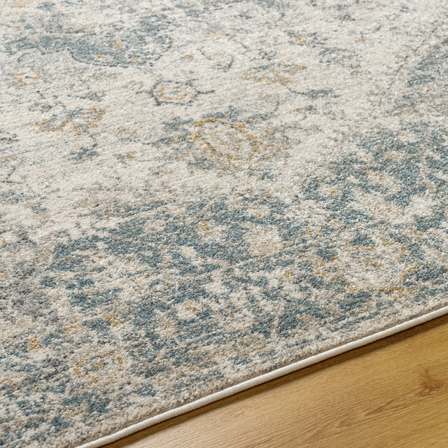 Surya Alpharetta Aph-2300 Cream, Light Beige, Medium Gray, Blue, Charcoal, Amber Rug.