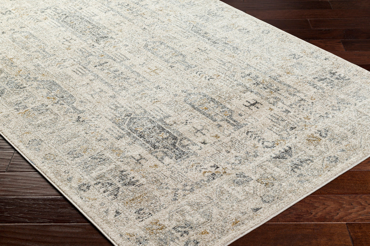 Surya Alpharetta Aph-2302 Cream, Light Beige, Medium Gray, Charcoal, Amber Rug.