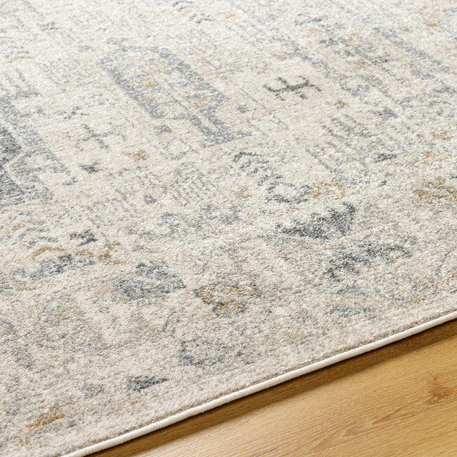 Surya Alpharetta Aph-2302 Cream, Light Beige, Medium Gray, Charcoal, Amber Rug.