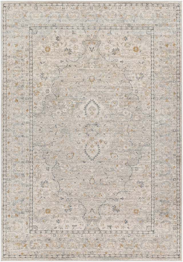 Surya Alpharetta Aph-2303 Light Beige, Cream, Medium Gray, Charcoal, Amber Rug.