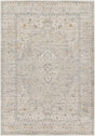 Surya Alpharetta Aph-2303 Light Beige, Cream, Medium Gray, Charcoal, Amber Rug.