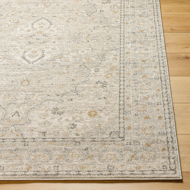 Surya Alpharetta Aph-2303 Light Beige, Cream, Medium Gray, Charcoal, Amber Rug.