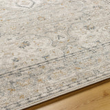 Surya Alpharetta Aph-2303 Light Beige, Cream, Medium Gray, Charcoal, Amber Rug.