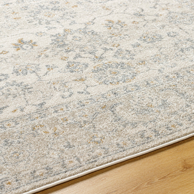 Surya Alpharetta Aph-2304 Cream, Light Beige, Medium Gray, Amber Rug.