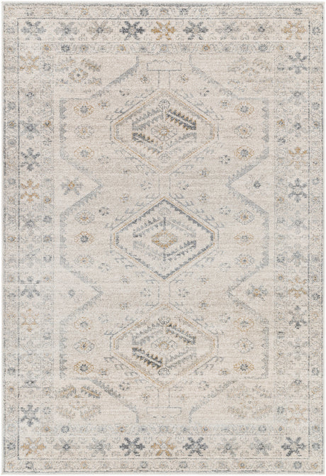 Surya Alpharetta Aph-2305 Cream, Light Beige, Medium Gray, Charcoal, Amber Rug.