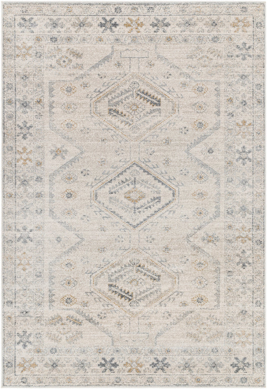 Surya Alpharetta Aph-2305 Cream, Light Beige, Medium Gray, Charcoal, Amber Area Rug