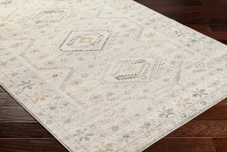 Surya Alpharetta Aph-2305 Cream, Light Beige, Medium Gray, Charcoal, Amber Rug.