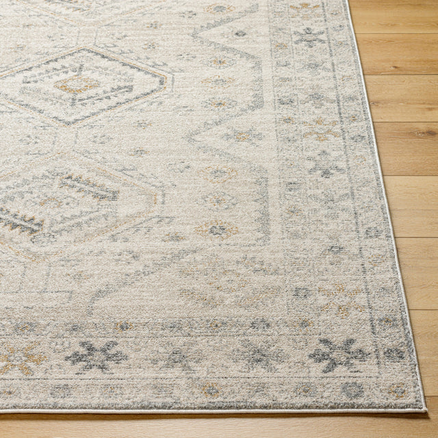 Surya Alpharetta Aph-2305 Cream, Light Beige, Medium Gray, Charcoal, Amber Rug.