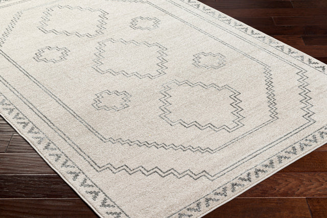 Surya Alpharetta Aph-2306 Cream, Light Beige, Medium Gray, Charcoal Rug.