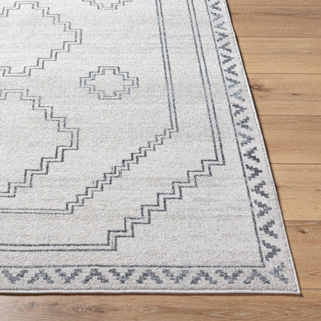 Surya Alpharetta Aph-2306 Cream, Light Beige, Medium Gray, Charcoal Rug.