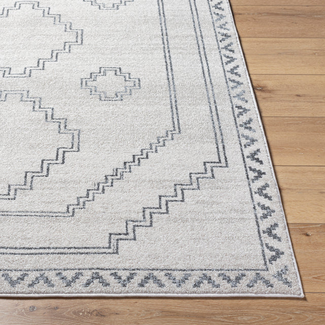 Surya Alpharetta Aph-2306 Cream, Light Beige, Medium Gray, Charcoal Rug.