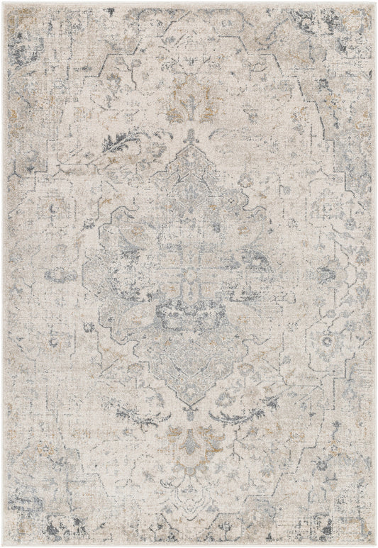 Surya Alpharetta Aph-2307 Cream, Light Beige, Medium Gray, Charcoal, Amber Area Rug