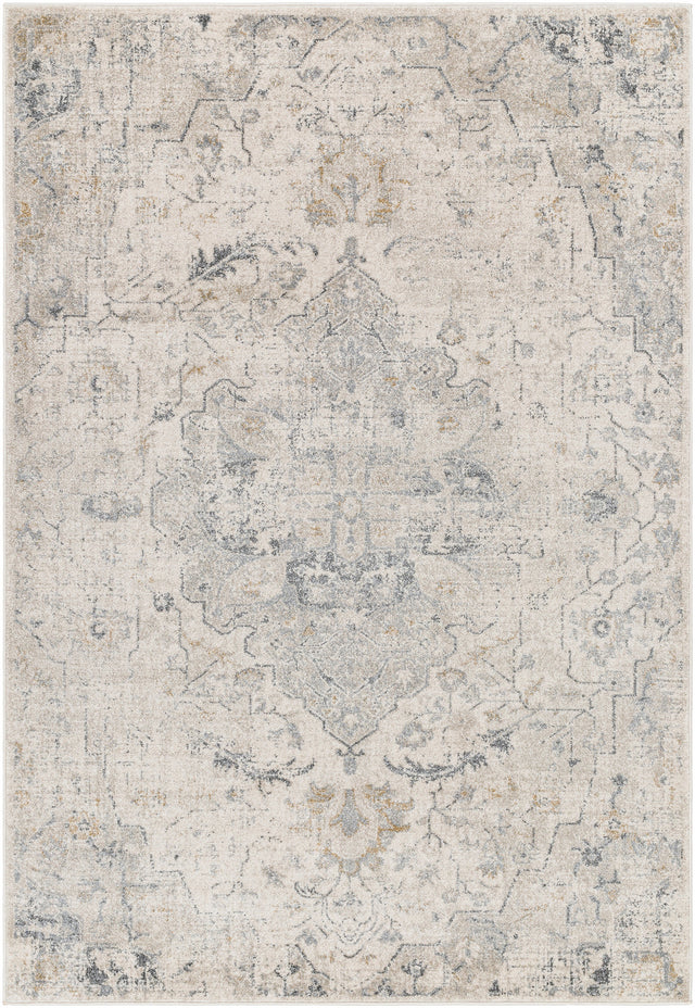 Surya Alpharetta Aph-2307 Cream, Light Beige, Medium Gray, Charcoal, Amber Rug.