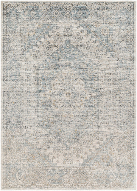 Surya Alpharetta Aph-2308 Light Beige, Cream, Medium Gray, Charcoal, Blue, Amber Rug.