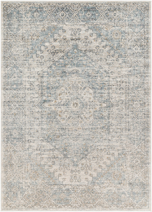 Surya Alpharetta Aph-2308 Light Beige, Cream, Medium Gray, Charcoal, Blue, Amber Area Rug