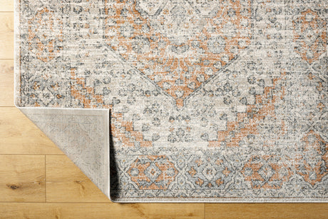 Surya Alpharetta Aph-2309 Light Beige, Cream, Medium Gray, Dusty Coral, Charcoal, Amber Rug.