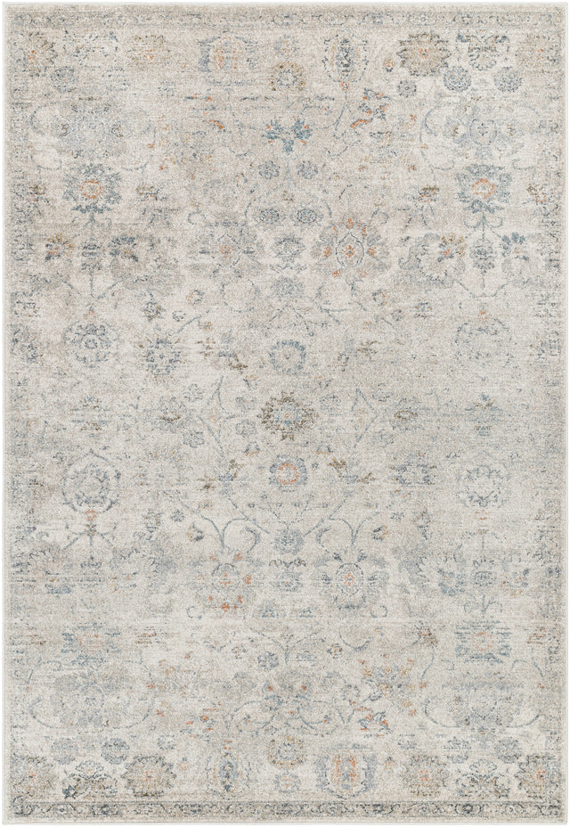 Surya Alpharetta Aph-2320 Light Beige, Cream, Medium Gray, Blue, Charcoal, Amber Rug.