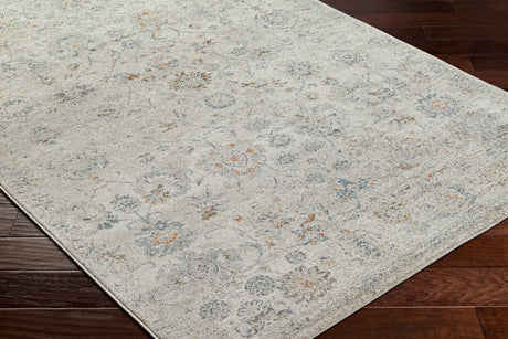 Surya Alpharetta Aph-2320 Light Beige, Cream, Medium Gray, Blue, Charcoal, Amber Rug.