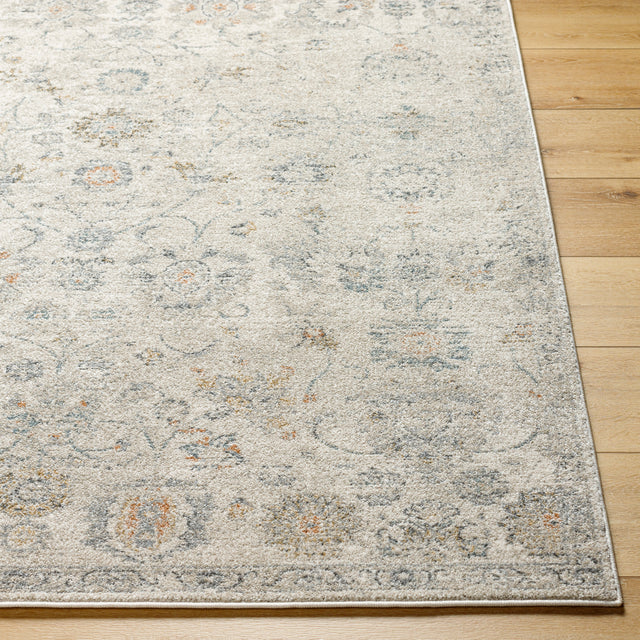 Surya Alpharetta Aph-2320 Light Beige, Cream, Medium Gray, Blue, Charcoal, Amber Rug.