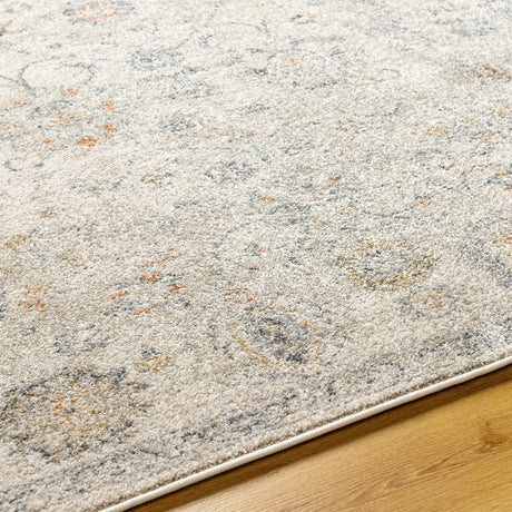 Surya Alpharetta Aph-2320 Light Beige, Cream, Medium Gray, Blue, Charcoal, Amber Rug.