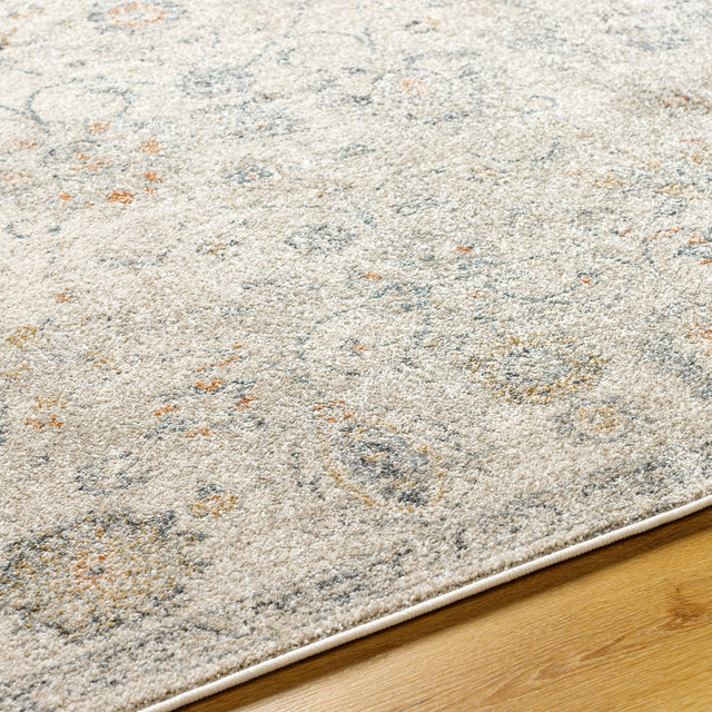 Surya Alpharetta Aph-2320 Light Beige, Cream, Medium Gray, Blue, Charcoal, Amber Rug.