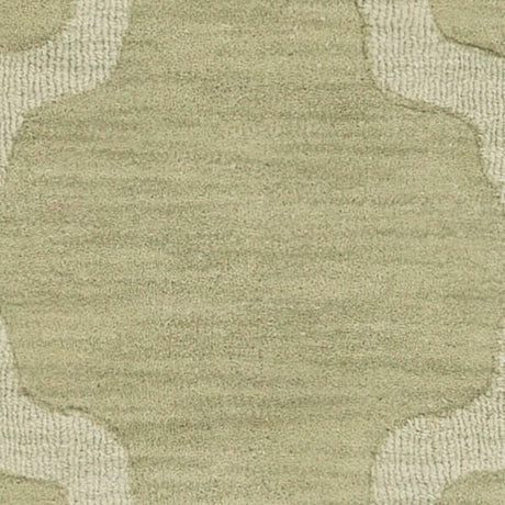 AreaRugs.com Arzi Ar1003 Sage Rugs.