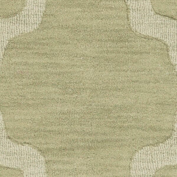 AreaRugs.com Arzi Ar1003 Sage Rugs.