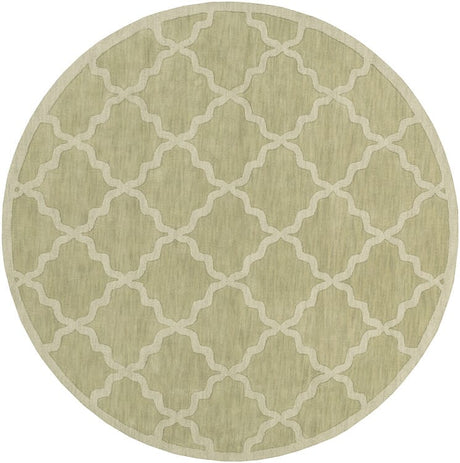 AreaRugs.com Arzi Ar1003 Sage Rugs.