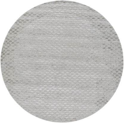 Surya Atlantis atl-6001 Gray / Silver Rugs