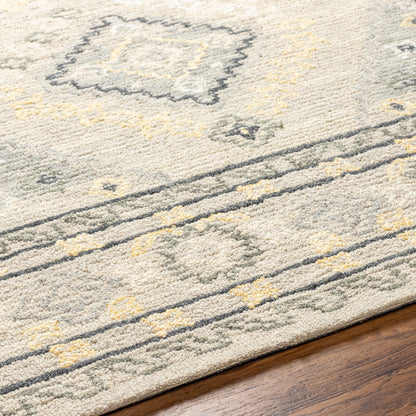 Surya Addyson Ayo-2304 Light Gray, Charcoal, Yellow Area Rug