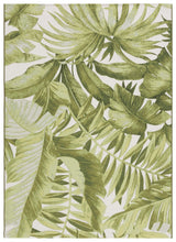 Safavieh Barbados 500 4'-0" x 6'-0" Rug in Ivory / Green
