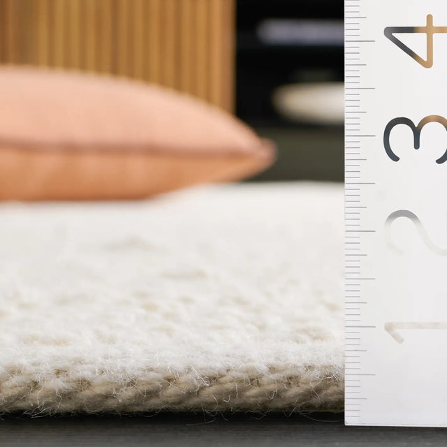 Safavieh Natura 4'-0" x 6'-0" Rug in Ivory