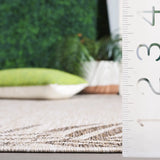 Safavieh Beach House 4'-0" x 6'-0" Rug in Beige / Brown