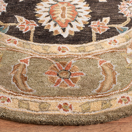 Safavieh Anatolia 6'-0" x 6'-0" Rug in Black / Green