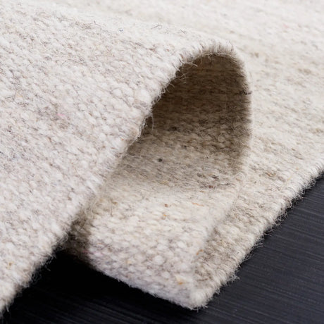 Safavieh Dhurries 4'-0" x 6'-0" Rug in Beige