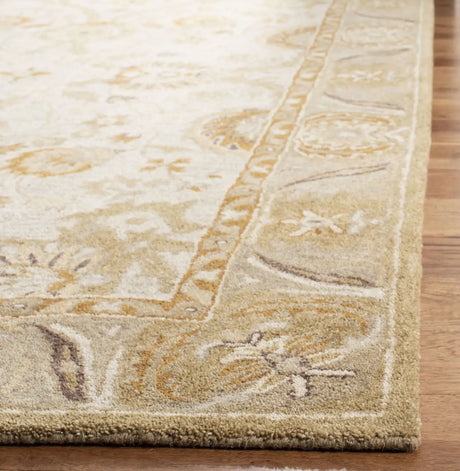 Safavieh Anatolia 4'-0" x 6'-0" Rug in Silver / Light Brown