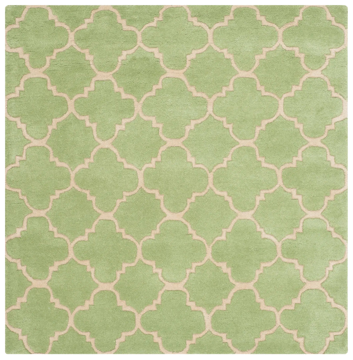 Safavieh Chatham 4'-0" x 4'-0" Rug in Green