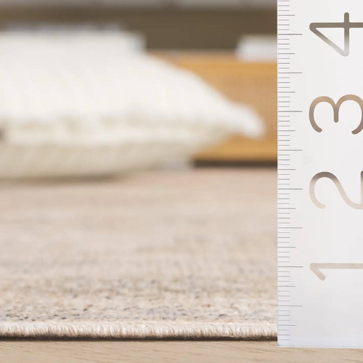Safavieh Atlas 4'-0" x 6'-0" Rug in Ivory / Beige