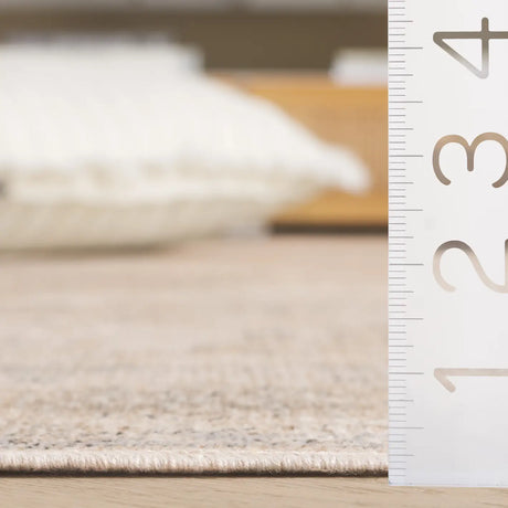 Safavieh Atlas 4'-0" x 6'-0" Rug in Ivory / Beige