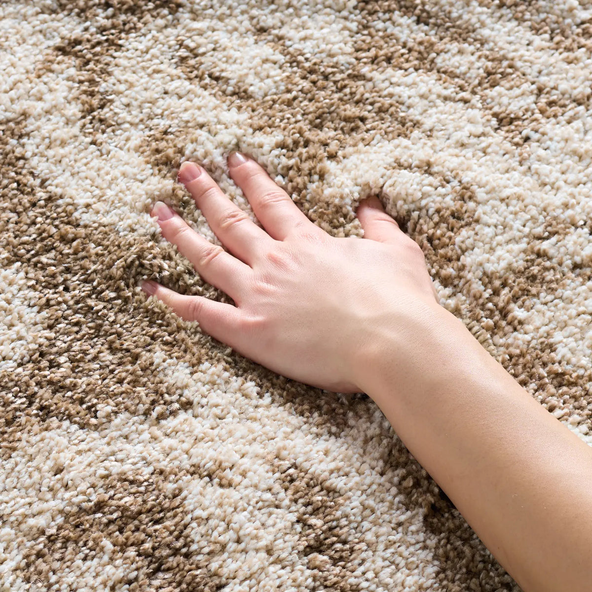 Safavieh Florida Shag 4'-0" x 6'-0" Rug in Beige / Cream