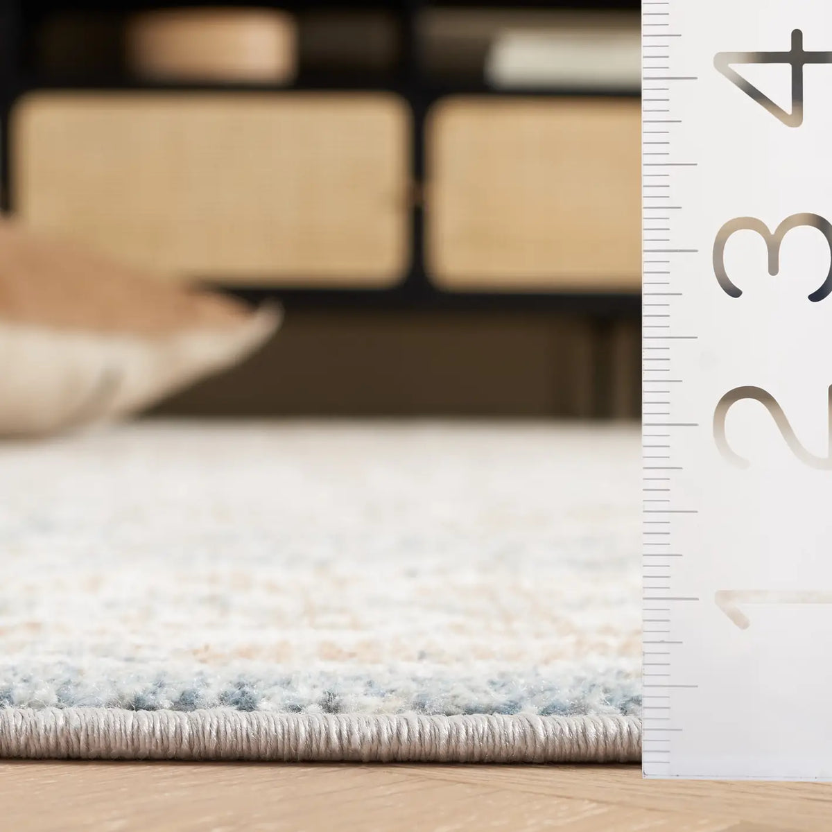 Safavieh Blair Washable 4'-0" x 6'-0" Rug in Ivory / Blue