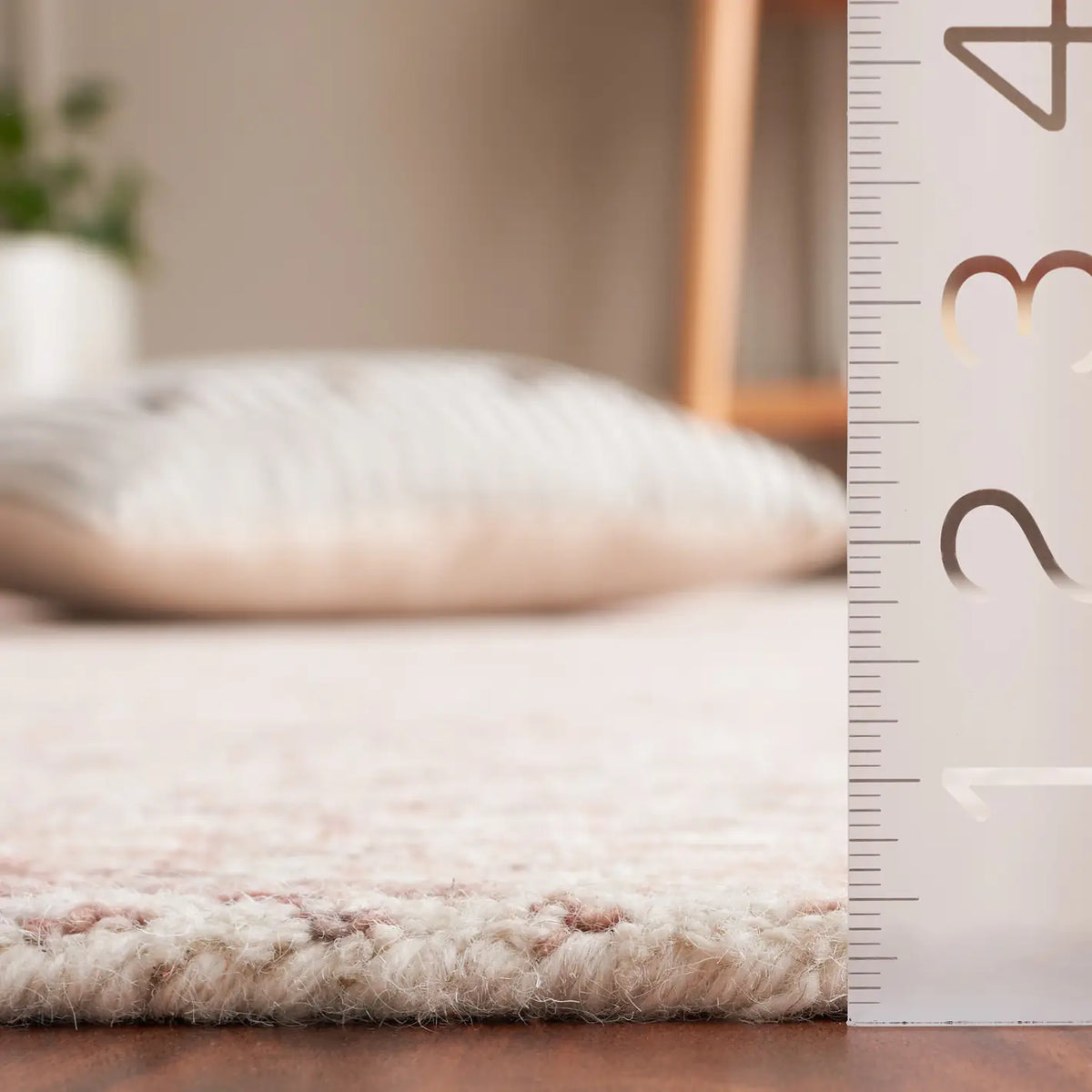 Safavieh Ebony 4'-0" x 6'-0" Rug in Rust / Beige
